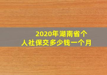 2020年湖南省个人社保交多少钱一个月