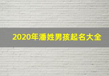 2020年潘姓男孩起名大全