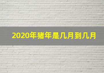 2020年猪年是几月到几月