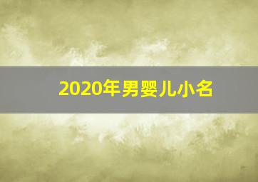 2020年男婴儿小名