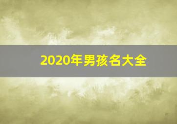 2020年男孩名大全