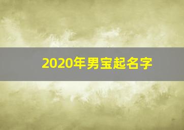 2020年男宝起名字