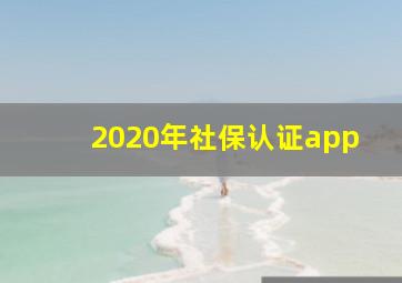 2020年社保认证app