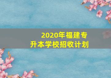 2020年福建专升本学校招收计划