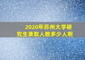 2020年苏州大学研究生录取人数多少人啊