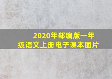 2020年部编版一年级语文上册电子课本图片