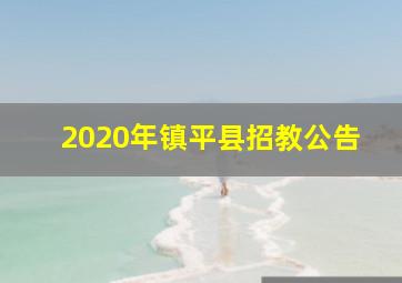 2020年镇平县招教公告