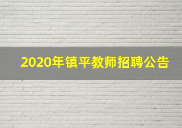 2020年镇平教师招聘公告