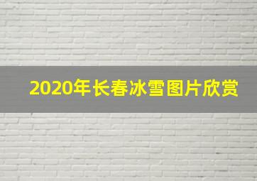 2020年长春冰雪图片欣赏