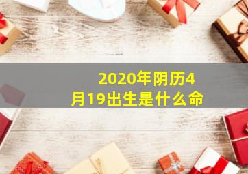 2020年阴历4月19出生是什么命