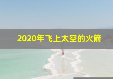 2020年飞上太空的火箭