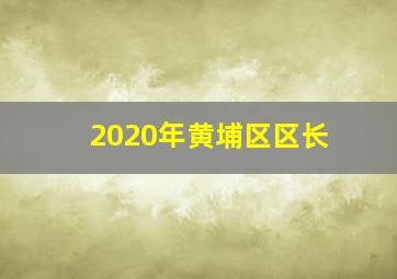 2020年黄埔区区长