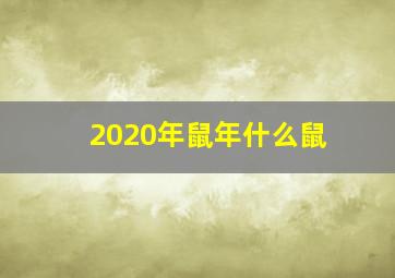 2020年鼠年什么鼠