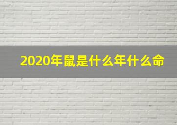 2020年鼠是什么年什么命