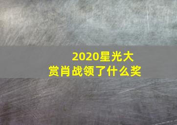 2020星光大赏肖战领了什么奖