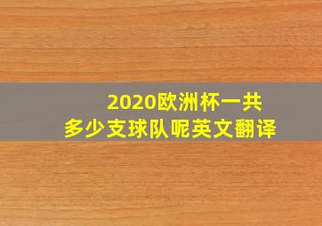 2020欧洲杯一共多少支球队呢英文翻译