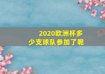 2020欧洲杯多少支球队参加了呢