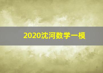 2020沈河数学一模