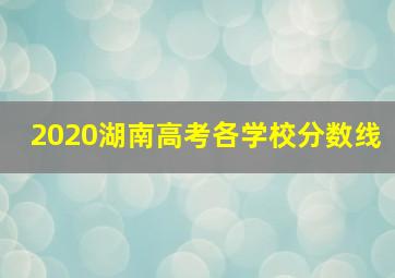 2020湖南高考各学校分数线