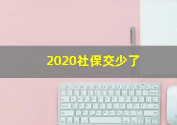 2020社保交少了