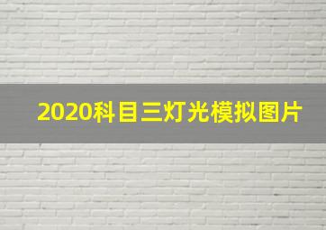 2020科目三灯光模拟图片