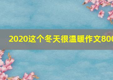 2020这个冬天很温暖作文800