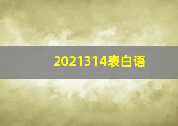 2021314表白语