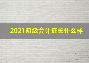 2021初级会计证长什么样