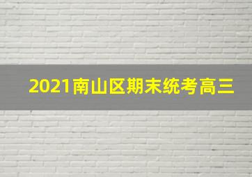 2021南山区期末统考高三