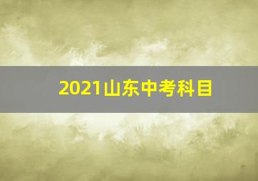 2021山东中考科目