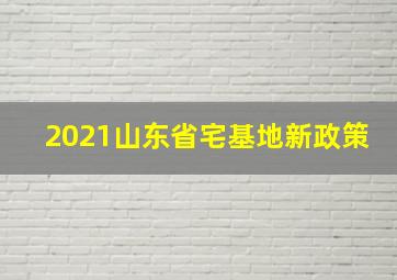 2021山东省宅基地新政策