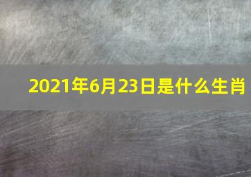 2021年6月23日是什么生肖