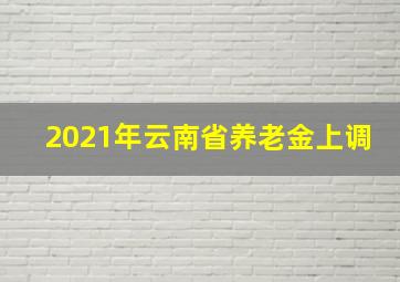 2021年云南省养老金上调