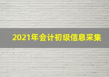 2021年会计初级信息采集