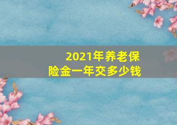 2021年养老保险金一年交多少钱