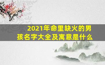 2021年命里缺火的男孩名字大全及寓意是什么