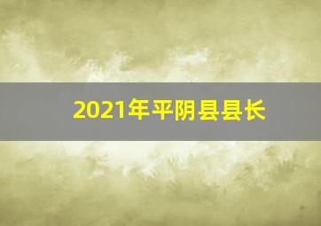 2021年平阴县县长