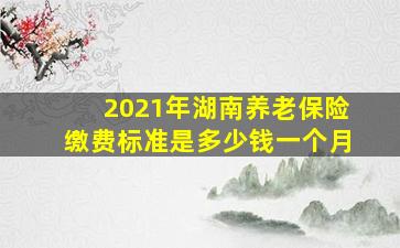 2021年湖南养老保险缴费标准是多少钱一个月