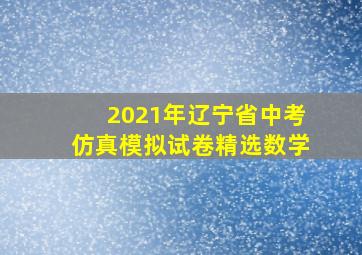 2021年辽宁省中考仿真模拟试卷精选数学