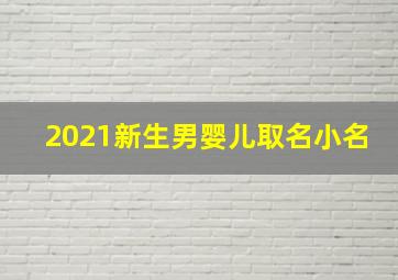 2021新生男婴儿取名小名