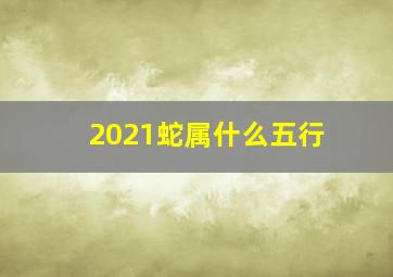 2021蛇属什么五行