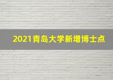 2021青岛大学新增博士点