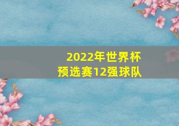 2022年世界杯预选赛12强球队