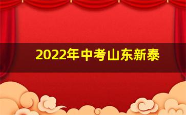 2022年中考山东新泰