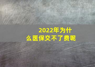 2022年为什么医保交不了费呢