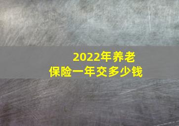 2022年养老保险一年交多少钱