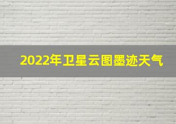 2022年卫星云图墨迹天气