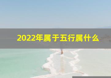 2022年属于五行属什么