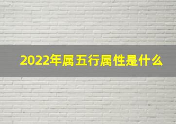 2022年属五行属性是什么