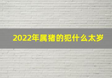 2022年属猪的犯什么太岁